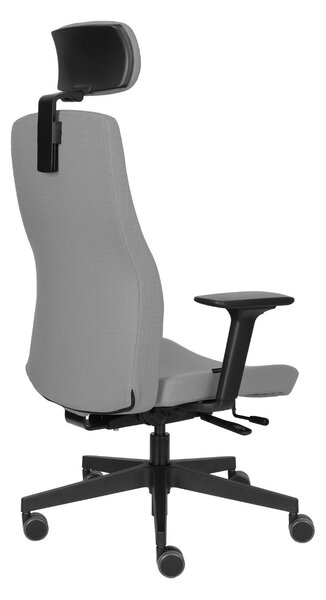 Scaun de birou Team Pro HD Black