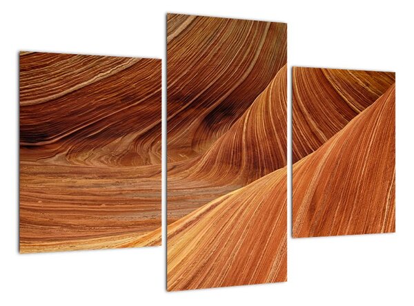 Tablou modern (90x60cm)