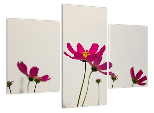 Tablou modern (90x60cm)
