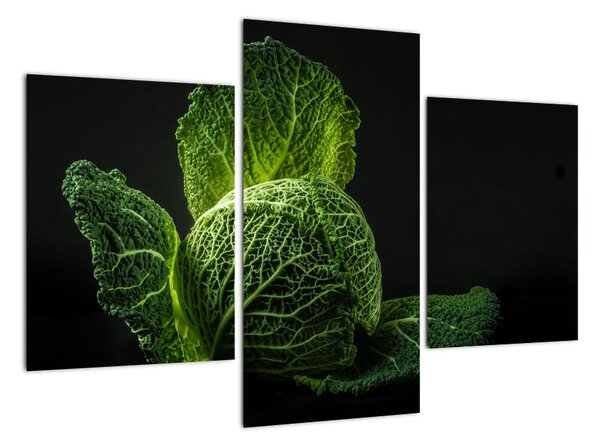 Tablou modern (90x60cm)