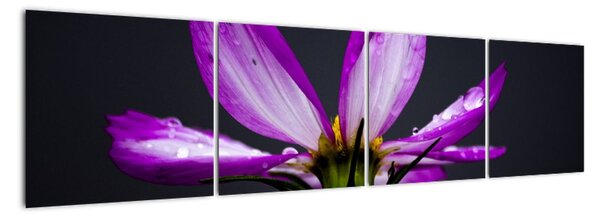 Tablou modern (160x40cm)