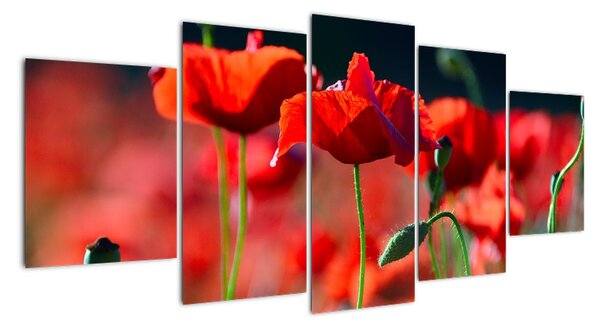Tablou modern (150x70cm)