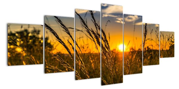 Tablou modern (210x100cm)