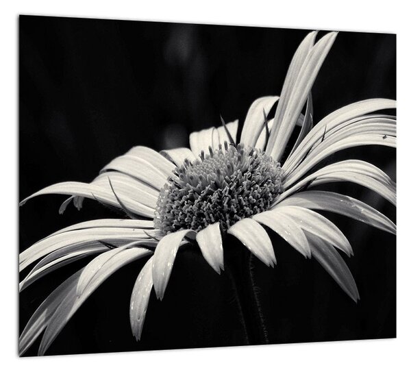 Tablou modern (Tablou)
