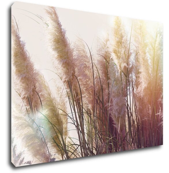 Impresi Tablou Grass - 70 x 50 cm