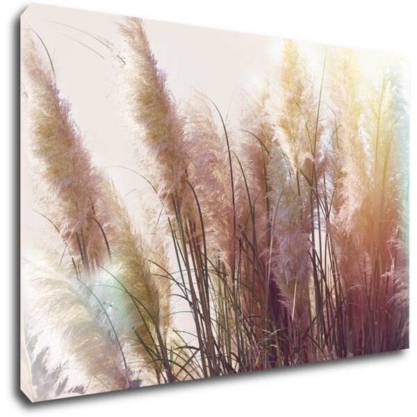 Impresi Tablou Grass - 60 x 40 cm