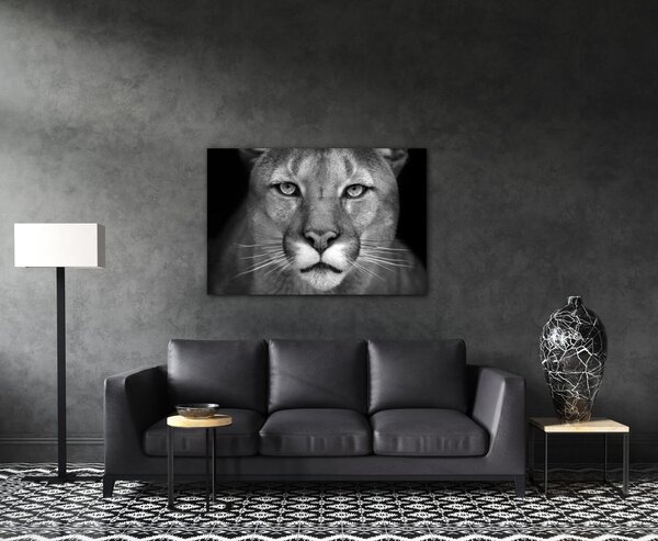 Impresi Tablou Beast - 60 x 40 cm
