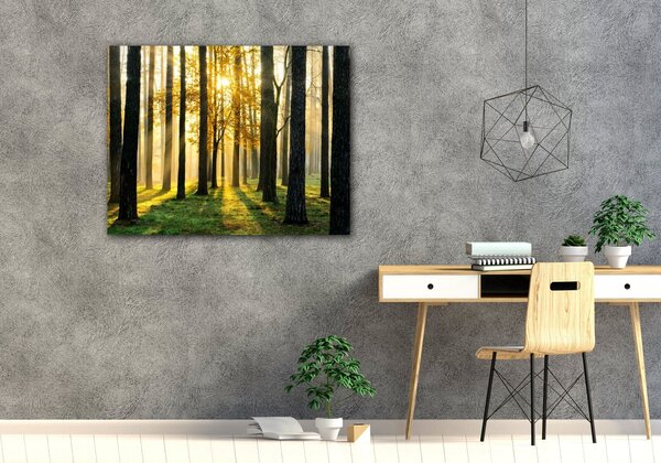Impresi Tablou Trees and sunshine - 90 x 70 cm