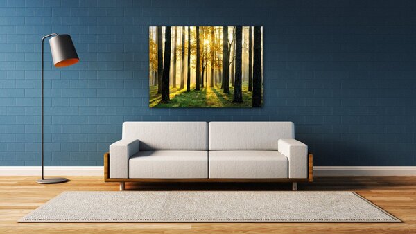 Impresi Tablou Trees and sunshine - 70 x 50 cm