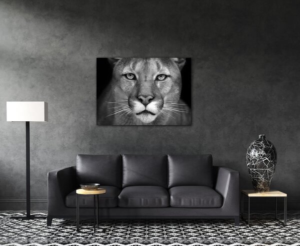 Impresi Tablou Beast - 70 x 50 cm
