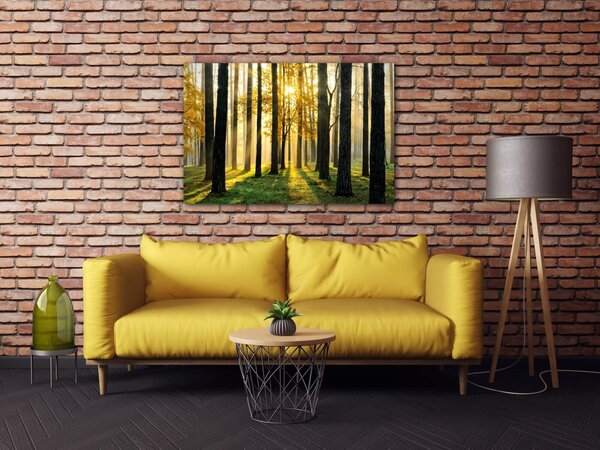 Impresi Tablou Trees and sunshine - 60 x 40 cm