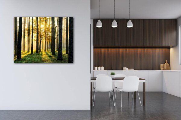 Impresi Tablou Trees and sunshine - 90 x 70 cm