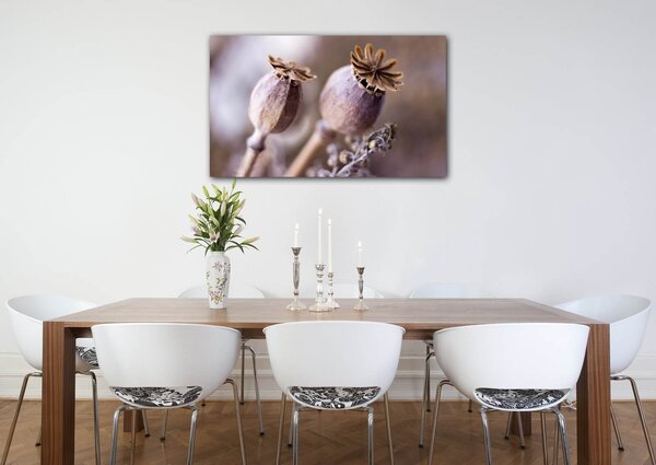 Impresi Tablou Dry Poppy flower - 50 x 30 cm