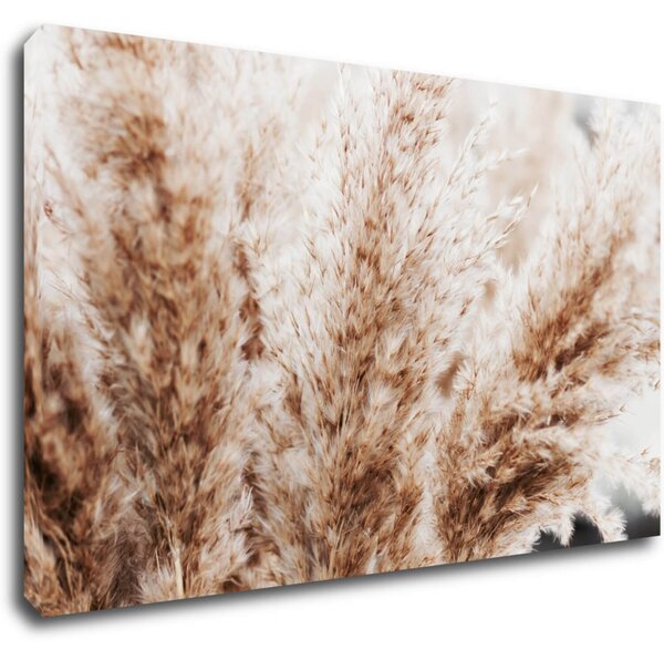 Impresi Tablou Dry flowers detail - 50 x 30 cm