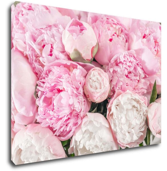 Impresi Tablou Pinky flowers - 70 x 50 cm