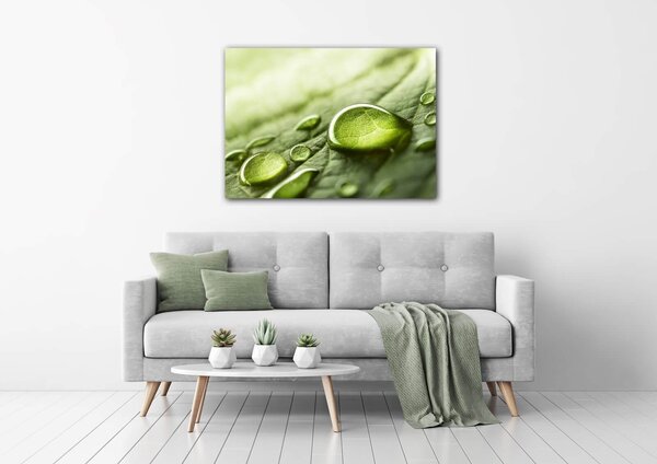 Impresi Tablou Drops of water on the leaf - 70 x 50 cm