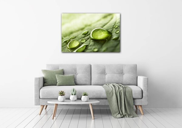 Impresi Tablou Drops of water on the leaf - 60 x 40 cm