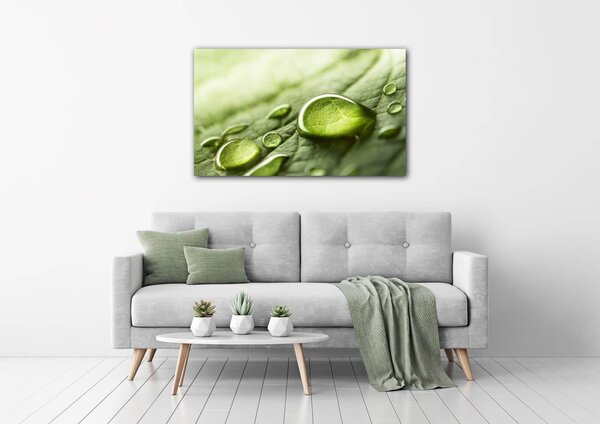 Impresi Tablou Drops of water on the leaf - 50 x 30 cm