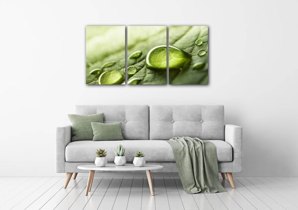Impresi Tablou Drops of water on the leaf - 120 x 60 cm (3-piese)
