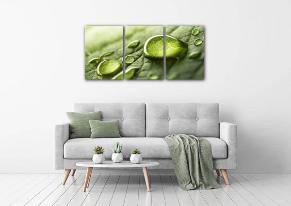 Impresi Tablou Drops of water on the leaf - 150 x 70 cm (3-piese)