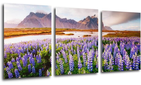 Impresi Tablou Lila blossoming flowers - 150 x 70 cm (3-piese)