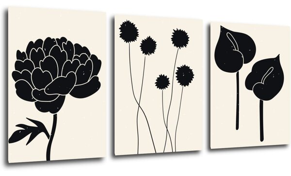 Impresi Tablou Black flowers on background - 150 x 70 cm (3-piese)
