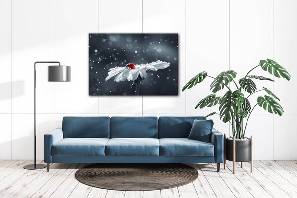 Impresi Tablou Lady bug on the flower - 60 x 40 cm
