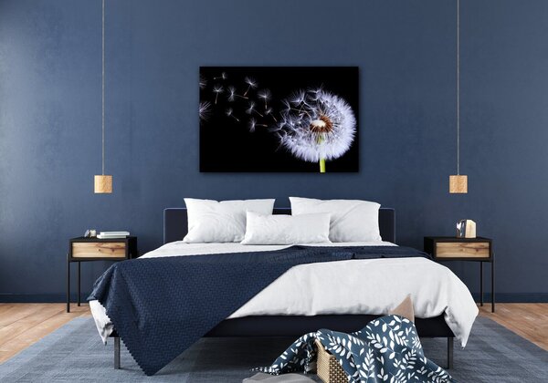 Impresi Tablou Dandelion black and green - 60 x 40 cm