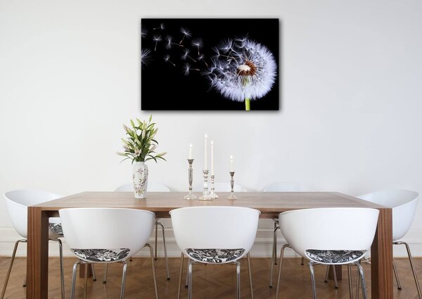Impresi Tablou Dandelion black and green - 60 x 40 cm