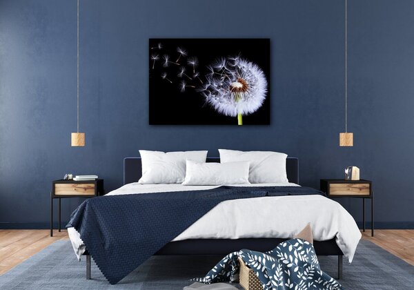 Impresi Tablou Dandelion black and green - 70 x 50 cm