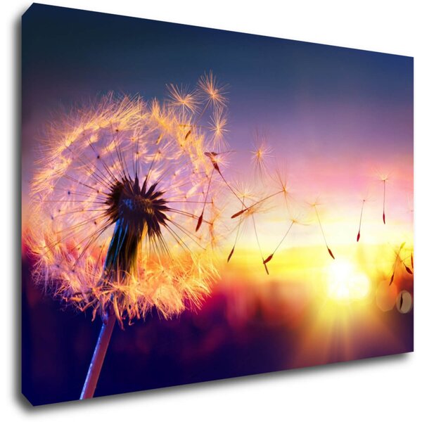 Impresi Tablou Dandelion and sunset - 60 x 40 cm