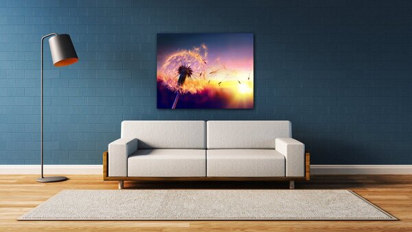 Impresi Tablou Dandelion and sunset - 90 x 70 cm