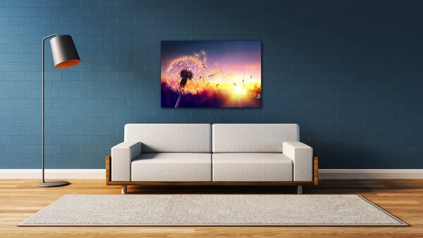 Impresi Tablou Dandelion and sunset - 60 x 40 cm