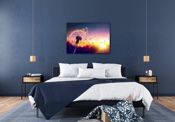 Impresi Tablou Dandelion and sunset - 70 x 50 cm