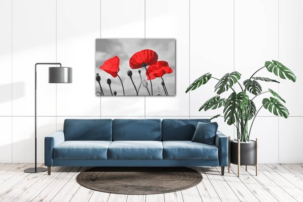 Impresi Tablou Poppy - 70 x 50 cm