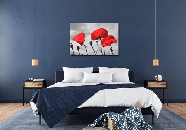 Impresi Tablou Poppy - 60 x 40 cm