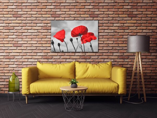 Impresi Tablou Poppy - 60 x 40 cm
