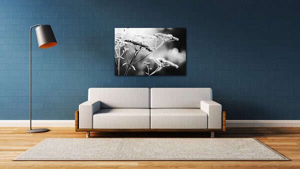Impresi Tablou Black and white meadow flower - 60 x 40 cm