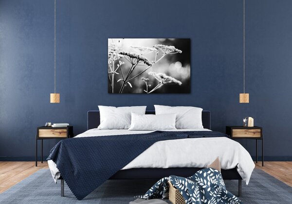 Impresi Tablou Black and white meadow flower - 60 x 40 cm