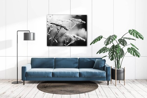 Impresi Tablou Black and white meadow flower - 90 x 70 cm