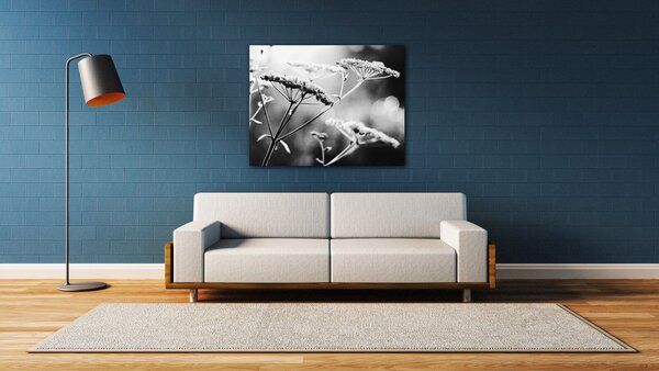 Impresi Tablou Black and white meadow flower - 90 x 70 cm