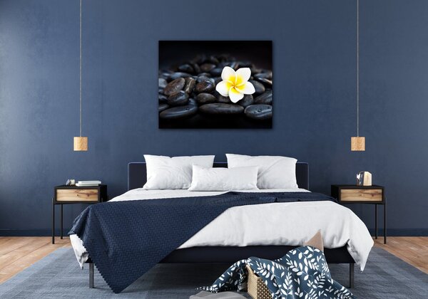 Impresi Tablou White blossom on black stones - 90 x 70 cm
