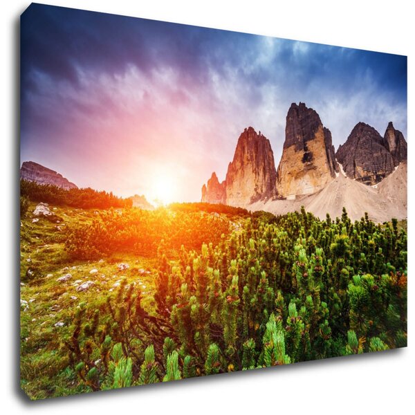 Impresi Tablou Mountain and forest - 60 x 40 cm