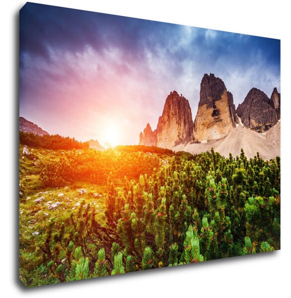 Impresi Tablou Mountain and forest - 70 x 50 cm
