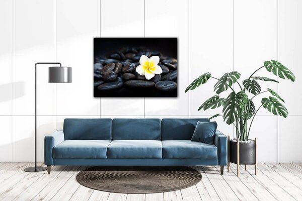 Impresi Tablou White blossom on black stones - 70 x 50 cm