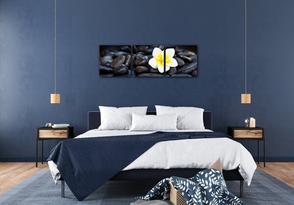 Impresi Tablou White blossom on black stones - 90 x 30 cm (3-piese)