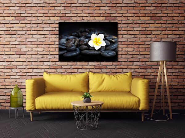 Impresi Tablou White blossom on black stones - 60 x 40 cm