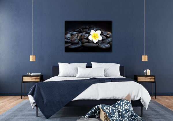 Impresi Tablou White blossom on black stones - 60 x 40 cm