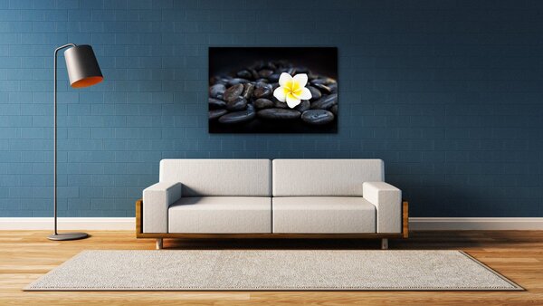 Impresi Tablou White blossom on black stones - 60 x 40 cm