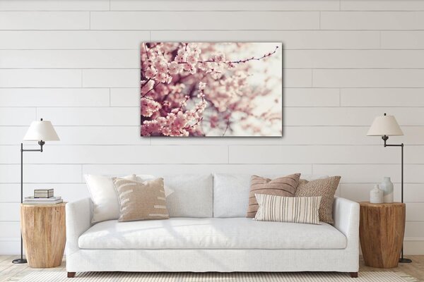 Impresi Tablou Light pink blossom on the tree - 60 x 40 cm